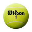 Wilson